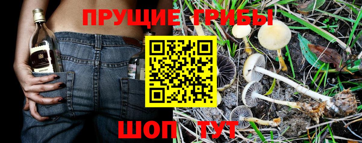Галлюциногенные грибы Psilocybine cubensis  Вход с VPN  Еманжелинск 